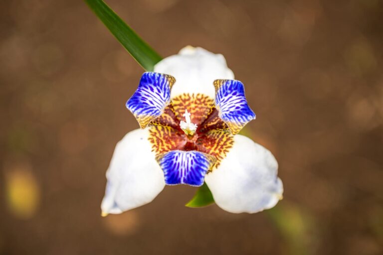 Fotografia Esportiva por Leonardo Dall`Igna